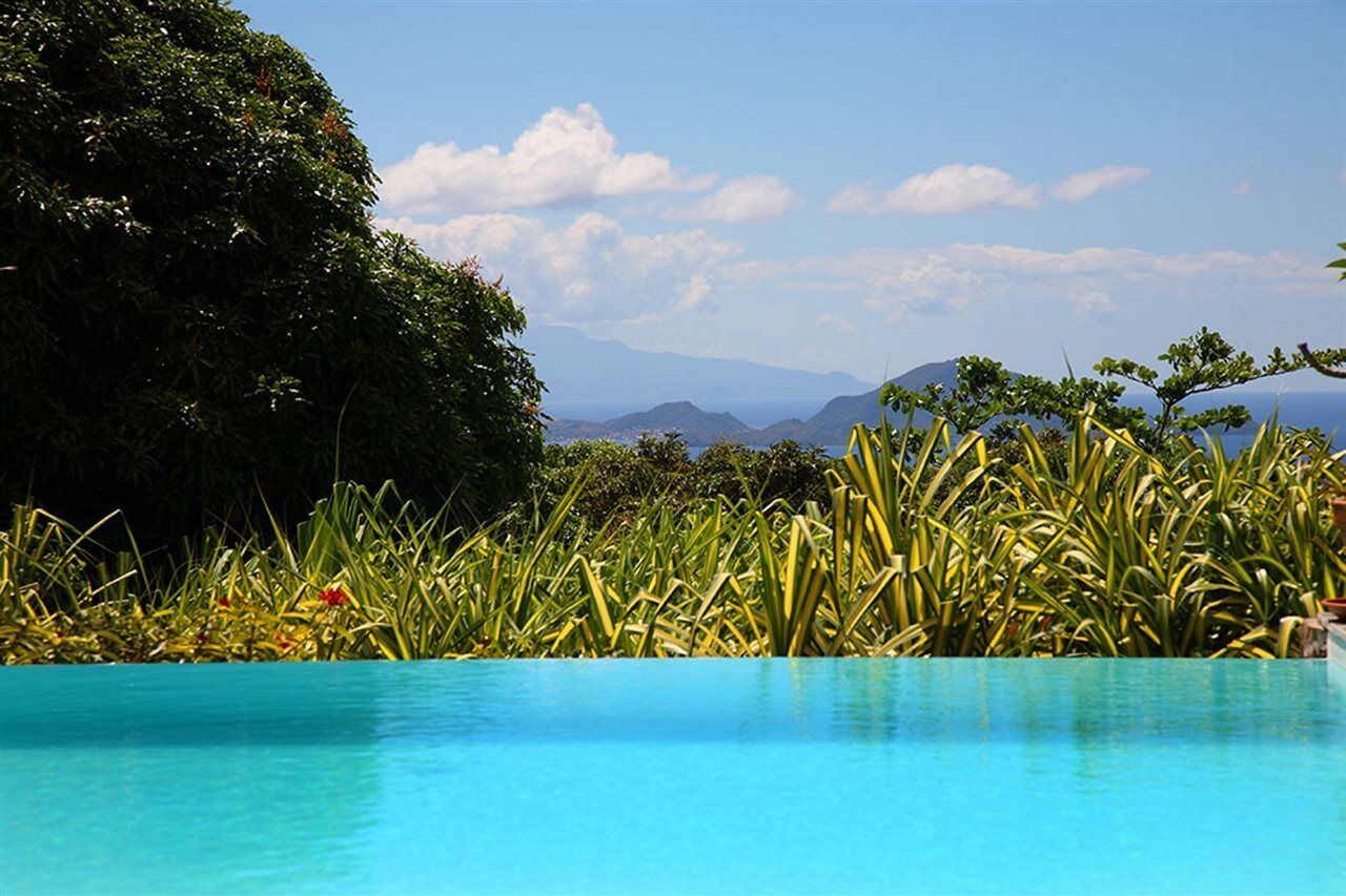 Jardin Malanga Hotel Basse-Terre Buitenkant foto